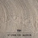 Wella Color Charm Toner T81 D1.webp