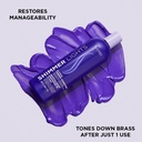 Shimmer Lights Conditioner Blonde Sliver 16oz Detail 2.jpg