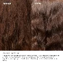 Olapex No3 Hair Perfector 3.3oz 4.webp