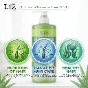 Liz Aloe Vera Shampoo 500ml D5.webp